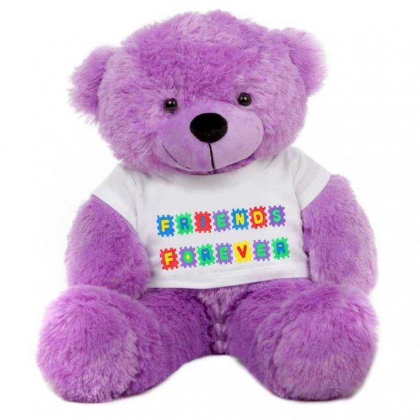 Purple 2 feet Big Teddy Bear wearing a Friends Forever T-shirt